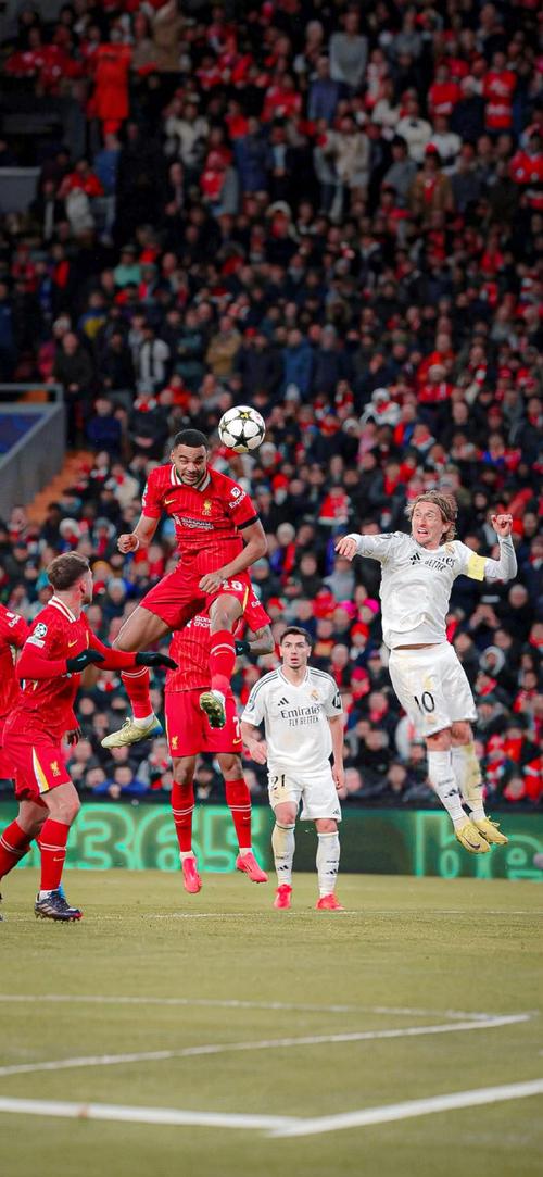 Kết Quả Bóng đá Newcastle